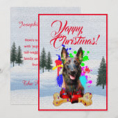 カスタマイズおもしろい可能なMalinois Dogクリスマスカード 案内状 (正面/裏面)