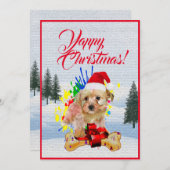 カスタマイズおもしろい可能なMorkie Dogクリスマスカード 案内状 (正面/裏面)