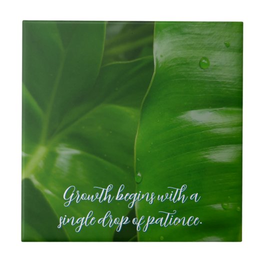 カスタマイズやる気を起こさせる前向き タイル (正面)