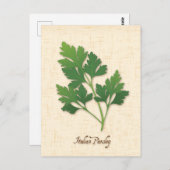 カスタマイズイタリアンParsleyはがき ポストカード (正面/裏面)