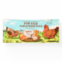 カスタマイズオーガニック農場生卵かごフリー