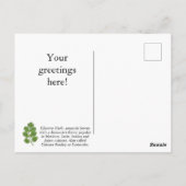 カスタマイズシラントロハーブハガキ ポストカード (裏面)