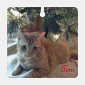 カスタマイズシンプル可能なモダンペットの写真の赤い名前 メタルオーナメント (正面)