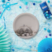 カスタマイズシーズー(犬)tzuプレート、睡眠犬 ペーパープレート (パーティー)