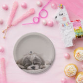 カスタマイズシーズー(犬)tzuプレート、睡眠犬 ペーパープレート (パーティー)