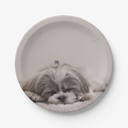 カスタマイズシーズー(犬)tzuプレート、睡眠犬 ペーパープレート (正面)