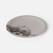 カスタマイズシーズー(犬)tzuプレート、睡眠犬 ペーパープレート (アングル)