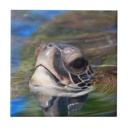 カスタマイズタイル- タイル (正面)