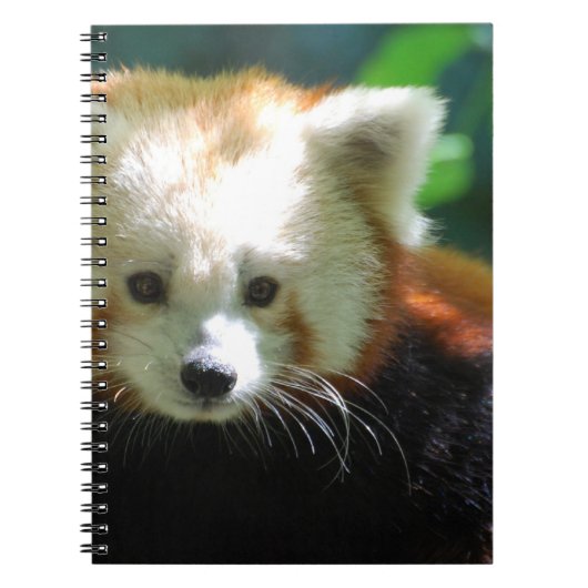 カスタマイズノート- ノートブック (正面)