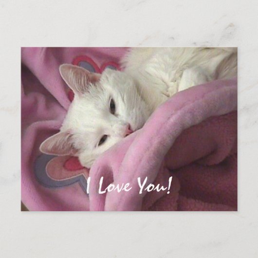 カスタマイズバレンタインの郵便はがき- シーズンポストカード (正面)