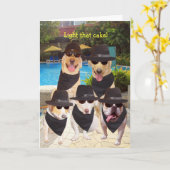 カスタマイズ可おもしろい能なブルース犬/ラボの誕生日 カード (黄色い花)