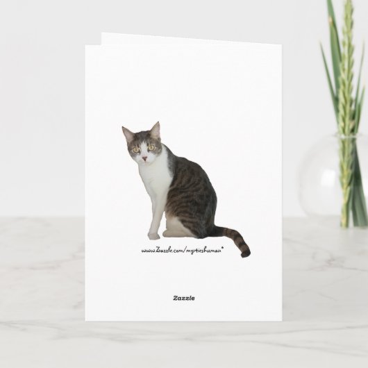 カスタマイズ可おもしろい能な猫のご主人の記念日 カード (裏面)