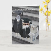 カスタマイズ可おもしろい能な猫/猫ちゃんの卒業表 カード (黄色い花)