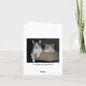 カスタマイズ可能ありがとう サンキューカード (裏面)