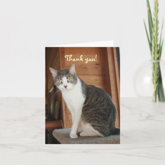 カスタマイズ可能ありがとう サンキューカード (正面)