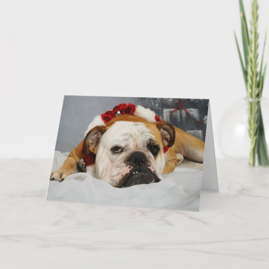 カスタマイズ可能おもしろいなクリスマスカード シーズンカード (正面)