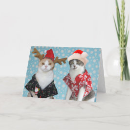 カスタマイズ可能おもしろいなクリスマス猫 シーズンカード