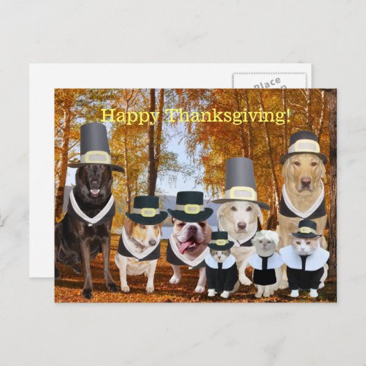 カスタマイズ可能でおもしろいな巡礼者は感謝祭のポストの後をつけます シーズンポストカード (正面/裏面)