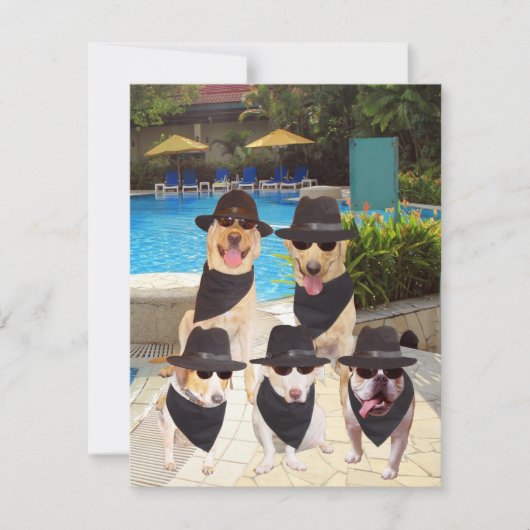 カスタマイズ可能でおもしろいな青犬か実験室の招待 招待状 (正面)