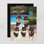 カスタマイズ可能でおもしろいな青犬か実験室の招待 招待状 (正面/裏面)