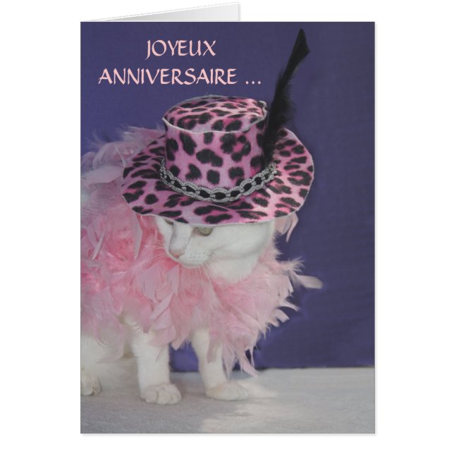 カスタマイズ可能でフランスのな猫か子猫 (正面)