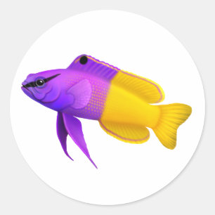 カスタマイズ可能で王室のなGramma礁の魚のステッカー ラウンドシール