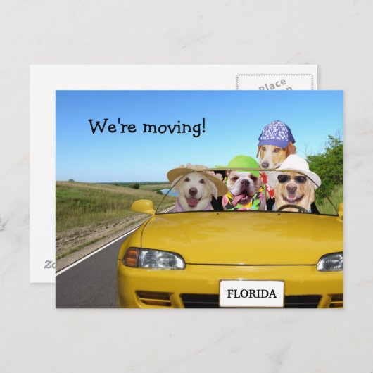 カスタマイズ可能なおもしろい犬移動 案内ポストカード (正面/裏面)