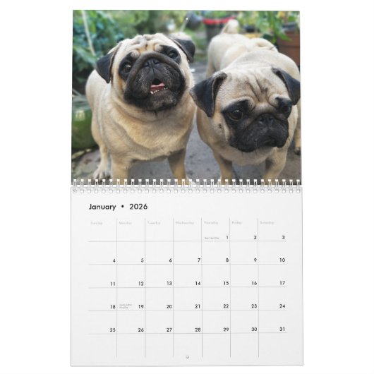 カスタマイズ可能なかわいいパグ犬のカレンダー- カレンダー (1月 2026)