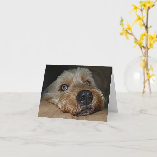 カスタマイズ可能なすべての行事の挨拶状 カード (黄色い花)