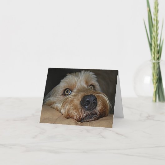 カスタマイズ可能なすべての行事の挨拶状 カード (正面)