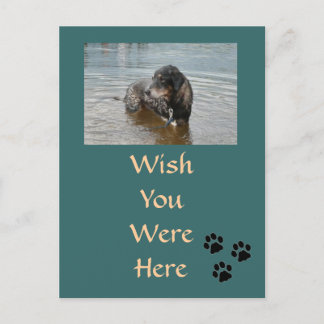 カスタマイズ可能なはがき ポストカード