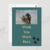 カスタマイズ可能なはがき ポストカード (正面/裏面)