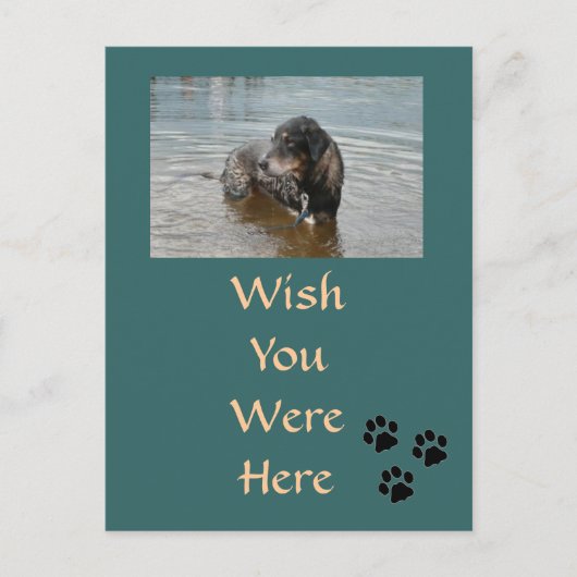 カスタマイズ可能なはがき ポストカード (正面)