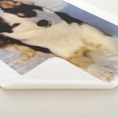 カスタマイズ可能なイメージのSherpa毛布 シェルパブランケット (3/4)