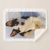 カスタマイズ可能なイメージのSherpa毛布 シェルパブランケット (正面(横))