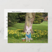 カスタマイズ可能なイースターエッグの狩り インビテーションポストカード (正面/裏面)