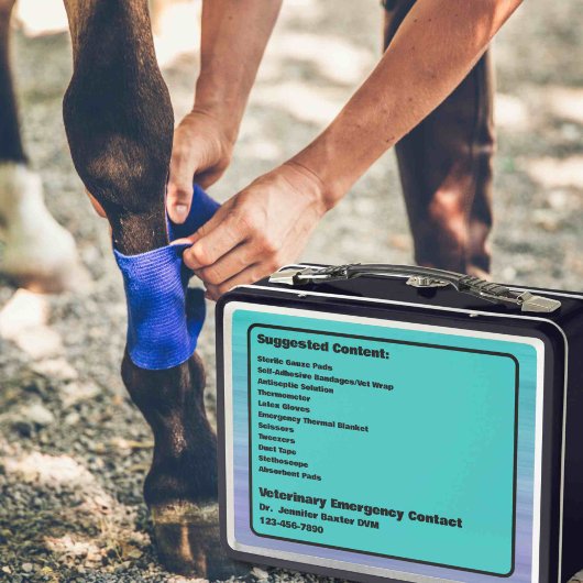 カスタマイズ可能なウマ科の救急容器 メタルランチボックス