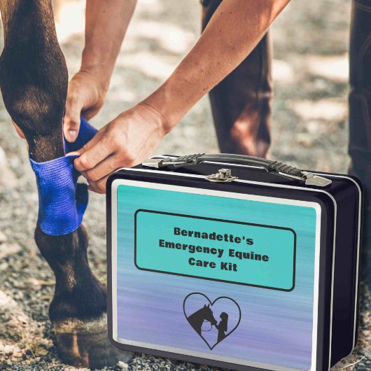 カスタマイズ可能なウマ科の救急容器 メタルランチボックス