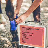 カスタマイズ可能なウマ科の救急容器 メタルランチボックス