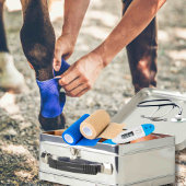 カスタマイズ可能なウマ科の救急容器 メタルランチボックス