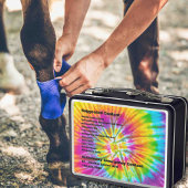 カスタマイズ可能なウマ科の救急容器 メタルランチボックス