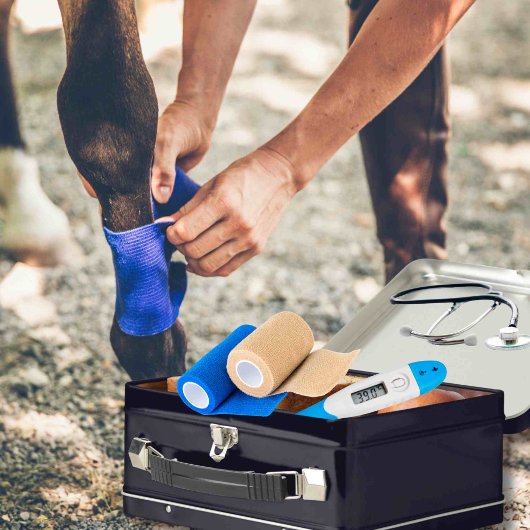 カスタマイズ可能なウマ科の救急容器 メタルランチボックス