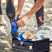 カスタマイズ可能なウマ科の救急容器 メタルランチボックス