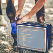 カスタマイズ可能なウマ科の救急容器 メタルランチボックス