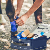 カスタマイズ可能なウマ科の救急容器 メタルランチボックス