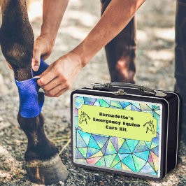 カスタマイズ可能なウマ科の救急容器 メタルランチボックス