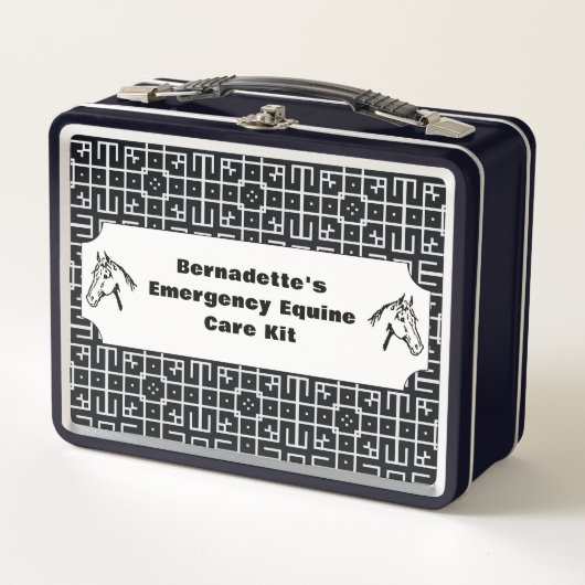 カスタマイズ可能なウマ科の救急容器 メタルランチボックス (正面)