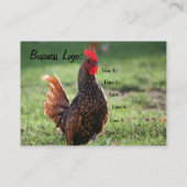 カスタマイズ可能なオンドリ、名刺 名刺 (裏面)