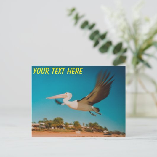 カスタマイズ可能なオーストラリアのペリカン ポストカード (スタンド正面)