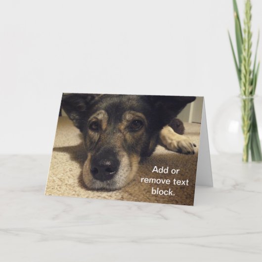 カスタマイズ可能なカード カード (正面)